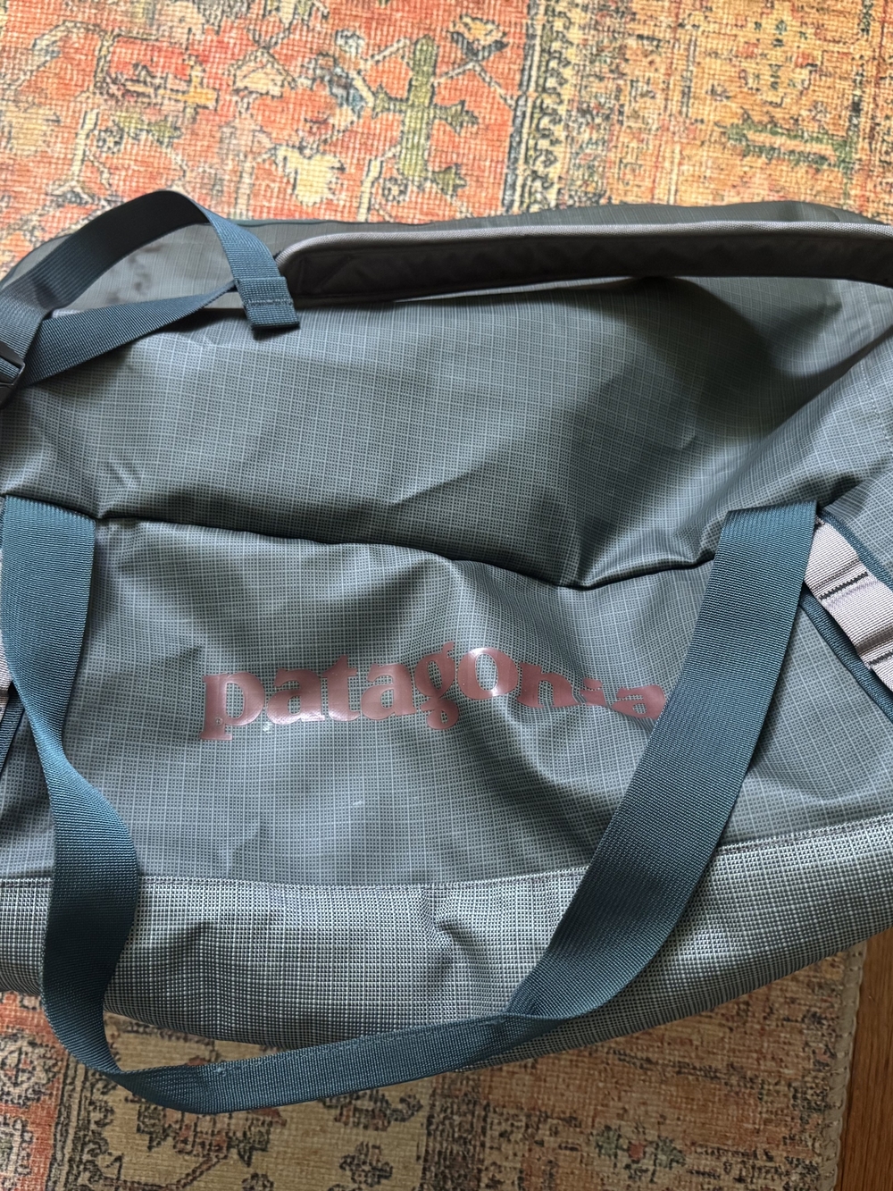 Patagonia Teal Duffel with Pink Logo